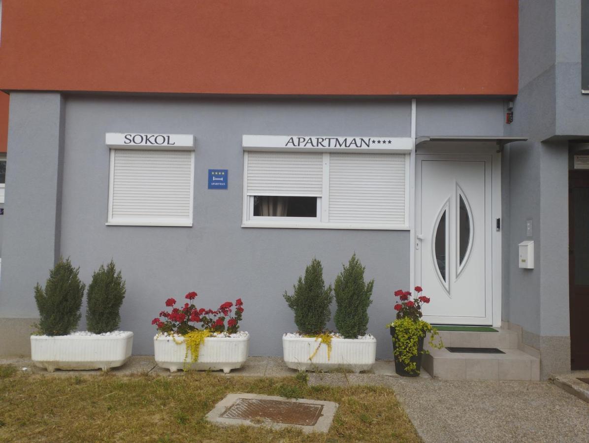 Apartman Sokol**** *